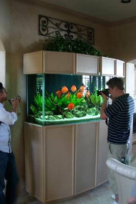 Jeff's Aquarium Tour