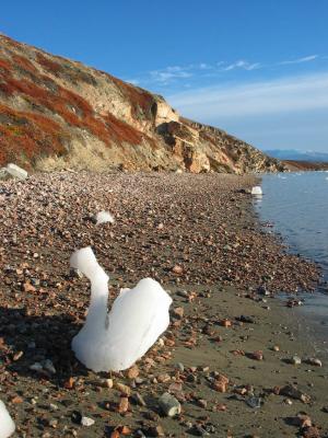 Drift Ice