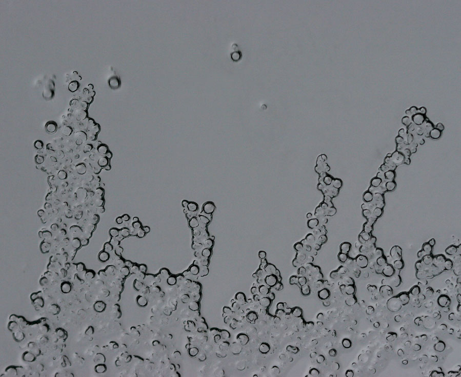 2005-01-06: Sleet Sliding down the Skylight