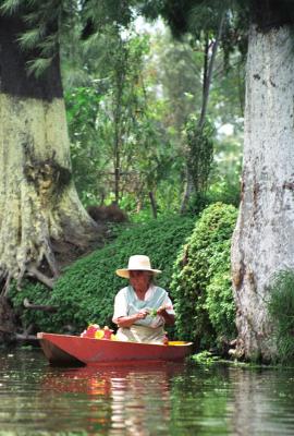 Mexico - Vieille dans sa barque reca.jpg