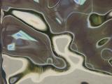 <B>Patterns Behind Glass</B>