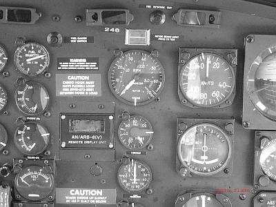P1000225-PSed.jpg