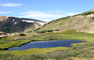 Alpine Pond