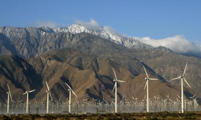 Wind Farm near Palm Springs