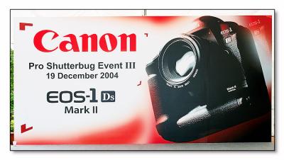 Canon 20D vs Canon 1Ds Mark II