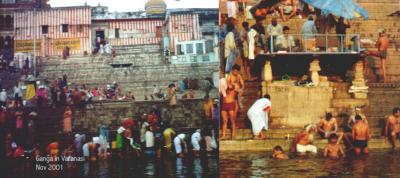 Bath time on the Ganges