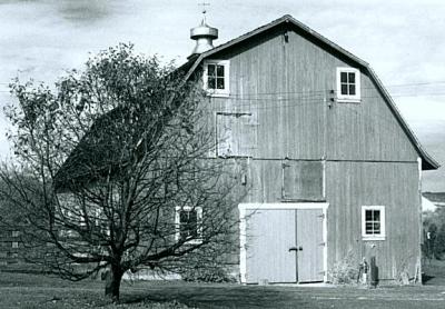 Tall Barn with Cherry Tree #2