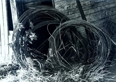 Wire