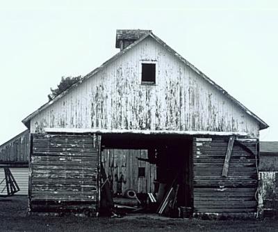 u13/raindog/medium/3398533.whitebarn2.jpg