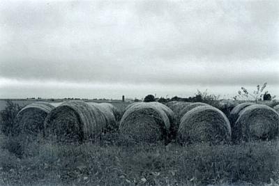 Hayrolls