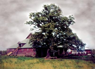 Tree Barn