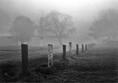 Posts in Fog