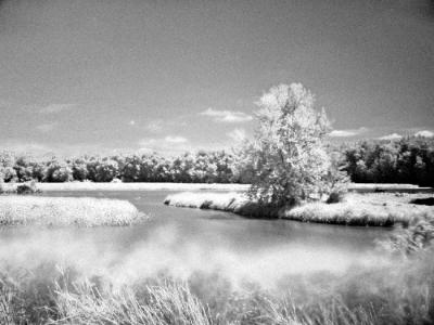 Digital Infrared