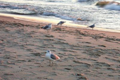 Day One - Lake Michigan