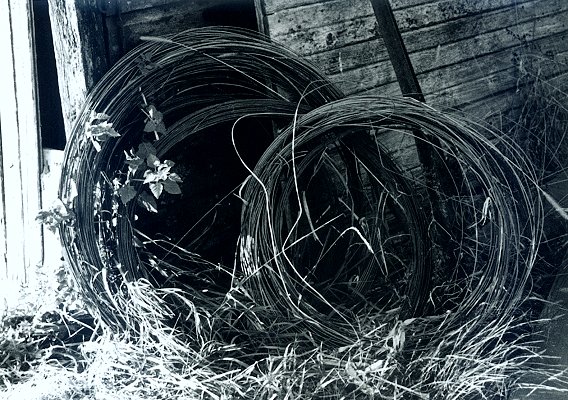 Wire
