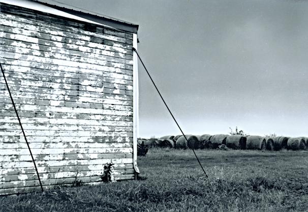 Wall with Hay