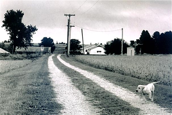 Gabe on the Farm Road