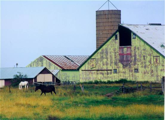 Green Barn