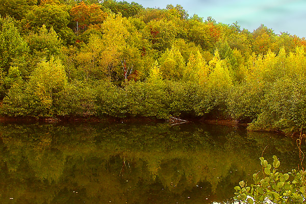 New York Pond