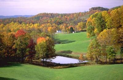 Part Of The Old Farm