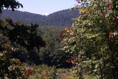 View Blue Ridge Mountains