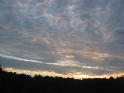 Sta_1376.jpg