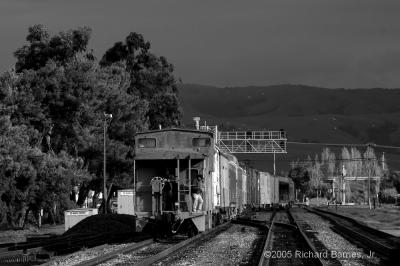 050108115bw.jpg