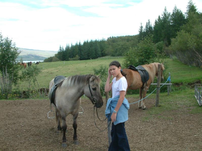 Horse riding at Summer Guesthouse Hsstjrnarsklinn
