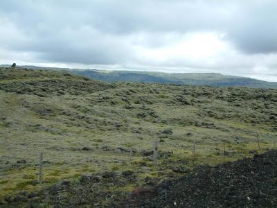 Moss-covered lava field in the southeast