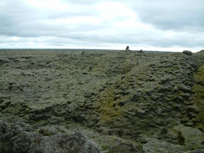 Moss-covered lava field at Fjarargljfur
