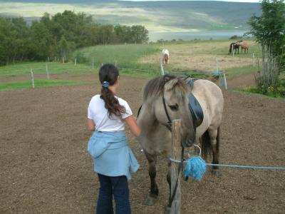 Horse riding at Summer Guesthouse Hússtjórnarskólinn