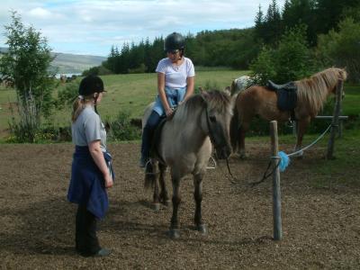 Horse riding at Summer Guesthouse Hússtjórnarskólinn