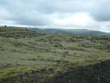 Moss-covered lava field in the southeast