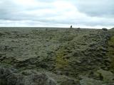 Moss-covered lava field at Fjarðargljúfur