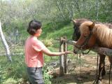 Horse riding at Summer Guesthouse Hsstjrnarsklinn