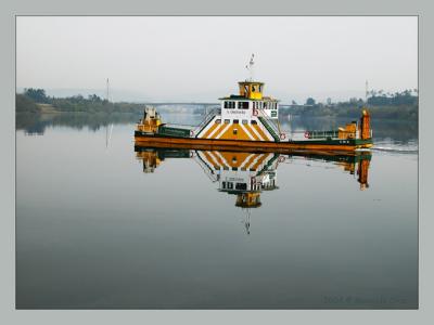 Cor-na-manh-cinzenta.jpg