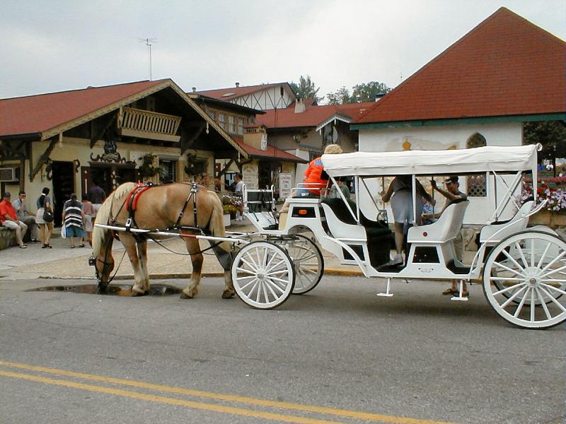 P8250024.JPG