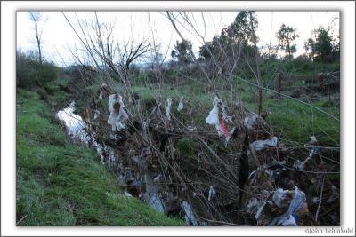 Looks like it was very high (and muddy)