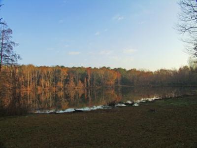 Lake in Fall.jpg