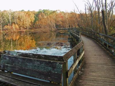 Walkway.jpg