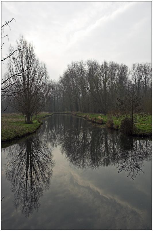 Reiver Bure at Horstead Mill