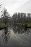 Reiver Bure at Horstead Mill