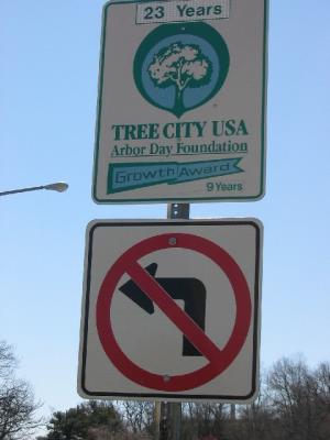 Tree City Sign: 04/03/2005