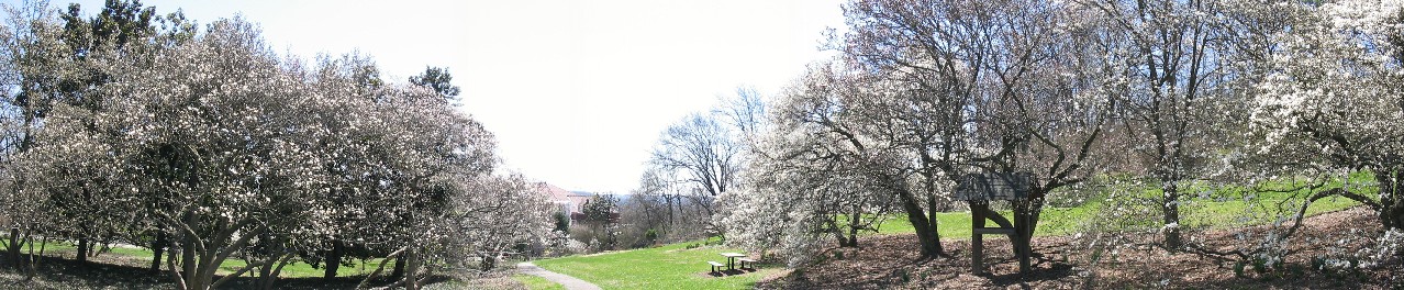 Magnolia Grove: 04/03/2005