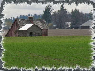 Barn