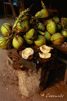 Giant Coconuts