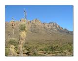 Organ Mountains