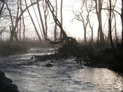 a JPG downstream P1097878.jpg
