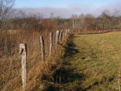a JPG Fence Angle P1097915.jpg
