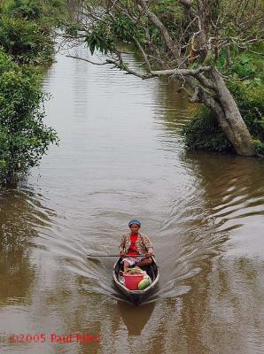 Lady selling fruit from a canoe - Palembang, Sumatra